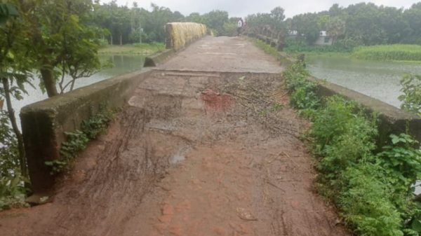 পাবনার আমিনপুরের গোলাবাড়ি ব্রীজ ঝু-কিপূর্ণ-রাস্তার বে-হাল দশা