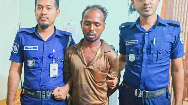 ভালুকায় ট্রি-পল মা-র্ডার মামলার প্রধান আ-সামি গাজীপুরে গ্রে-ফতার
