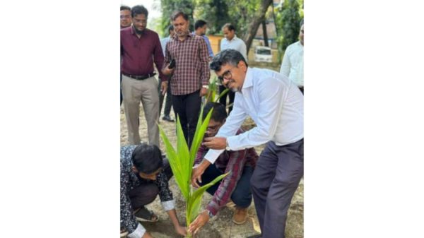ঠাকুরগাঁওয়ে আদা-লত চত্ব-রে  বিচা-রকদের  বৃক্ষরোপণ