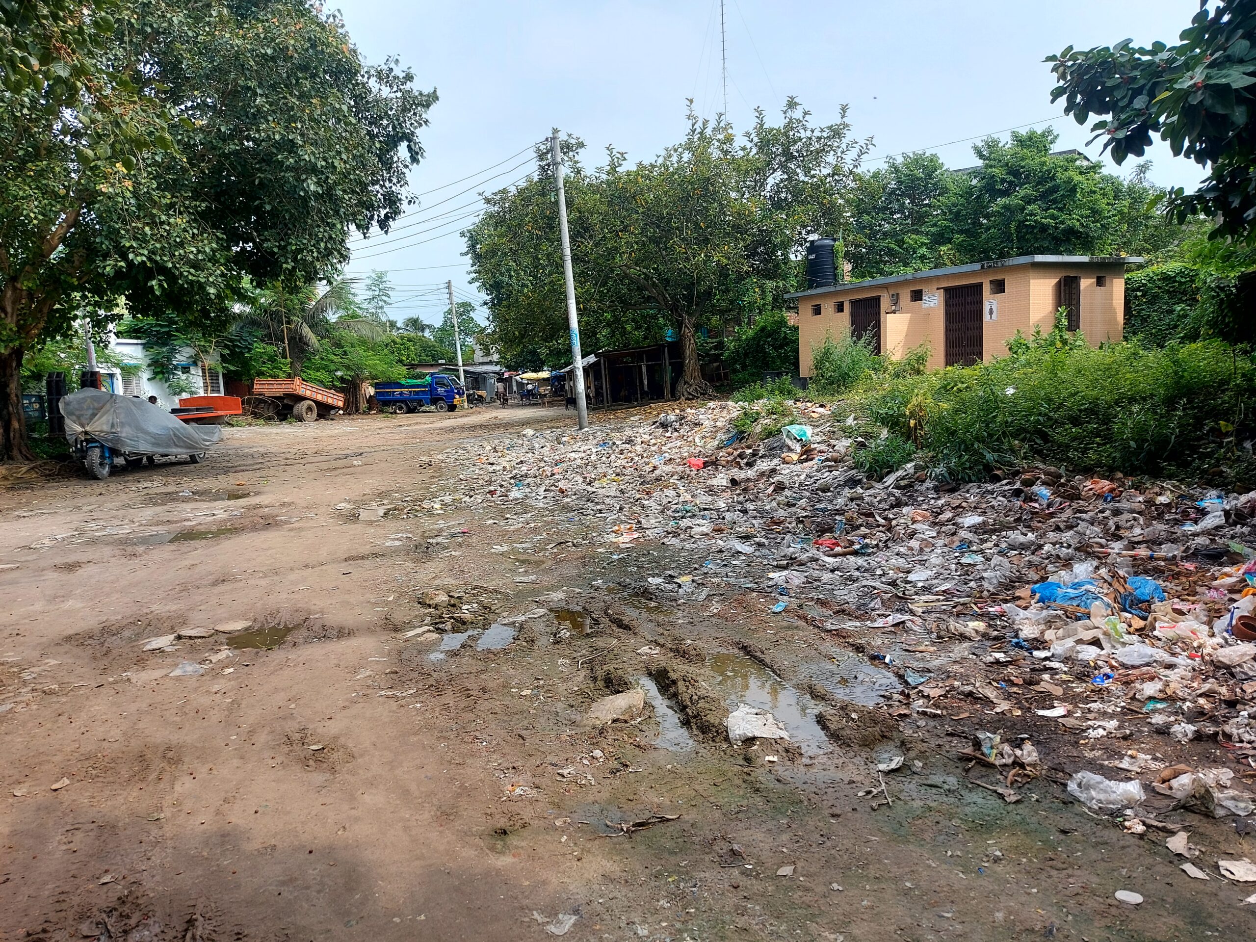 মশার য-ন্ত্রণায় অতি-ষ্ঠ গোদাগাড়ী পৌরসভাবাসী