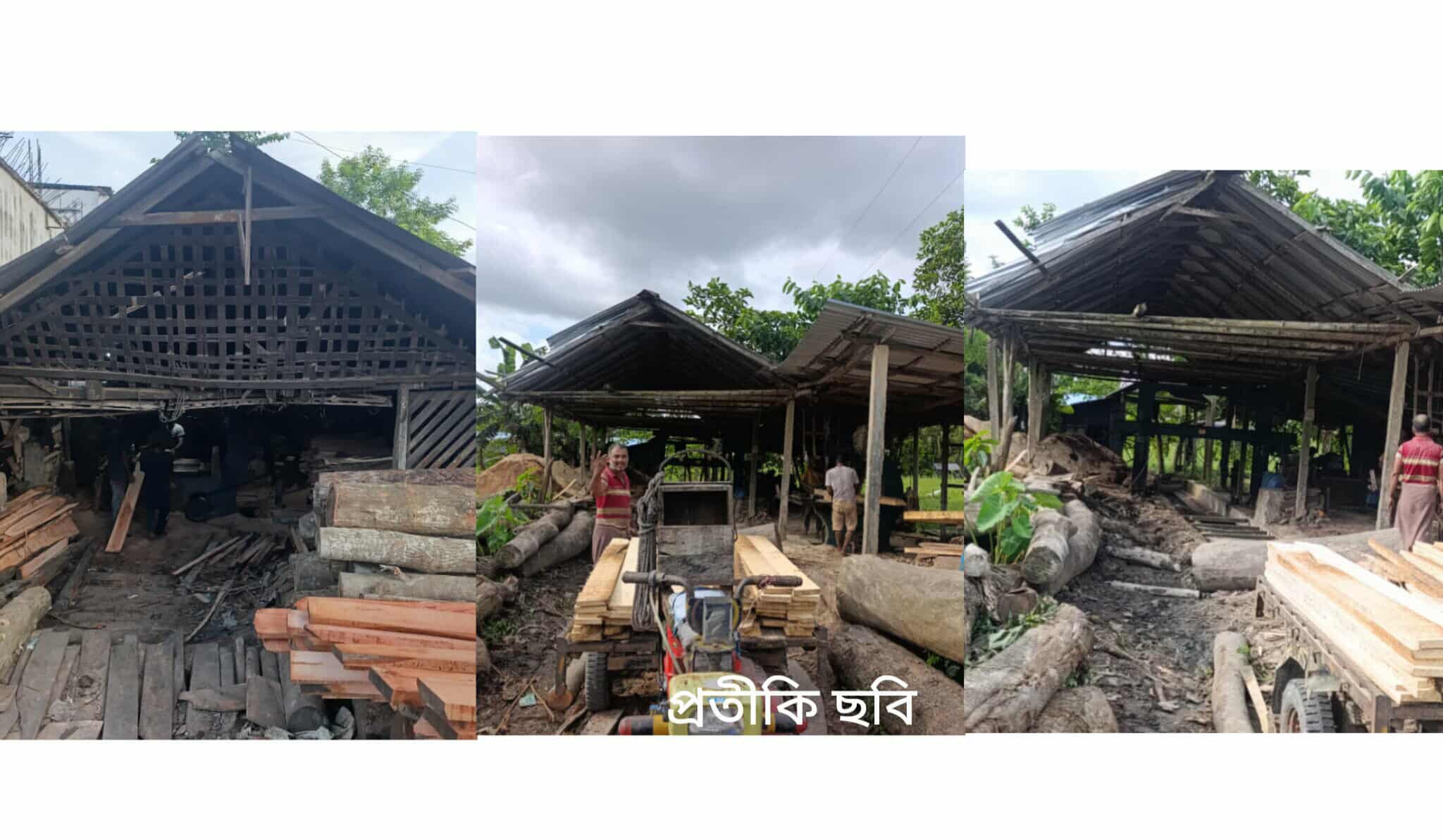 সেনবাগের ৪৪ টি লাইসেন্স বিহীন অ-বৈধ করাতকলে রমরমা বানিজ্য – রাজস্ব ফাঁ-কি
